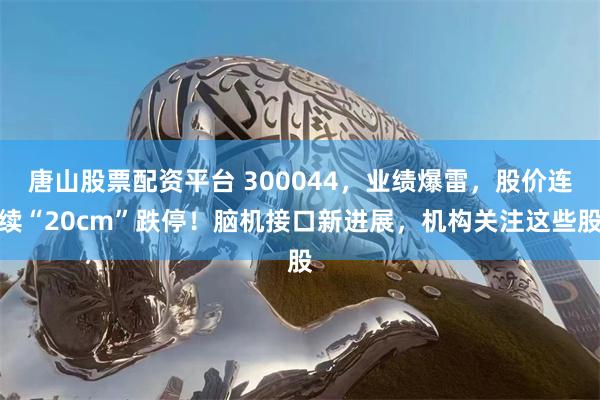 唐山股票配资平台 300044，业绩爆雷，股价连续“20cm”跌停！脑机接口新进展，机构关注这些股