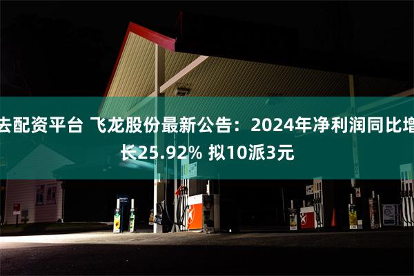 去配资平台 飞龙股份最新公告：2024年净利润同比增长25.92% 拟10派3元