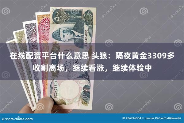 在线配资平台什么意思 头狼：隔夜黄金3309多收割离场，继续看涨，继续体验中