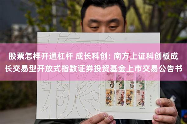 股票怎样开通杠杆 成长科创: 南方上证科创板成长交易型开放式指数证券投资基金上市交易公告书