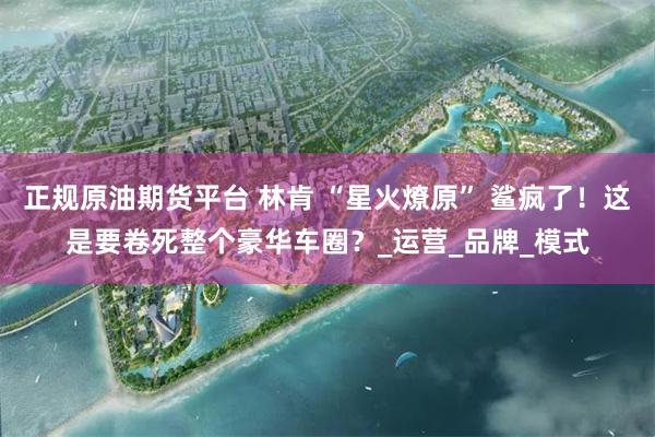 正规原油期货平台 林肯 “星火燎原” 鲨疯了！这是要卷死整个豪华车圈？_运营_品牌_模式