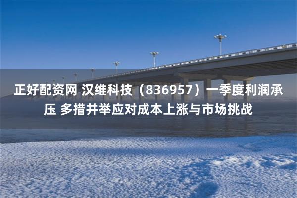 正好配资网 汉维科技（836957）一季度利润承压 多措并举应对成本上涨与市场挑战