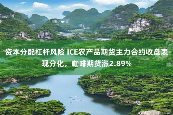 资本分配杠杆风险 ICE农产品期货主力合约收盘表现分化，咖啡期货涨2.89%