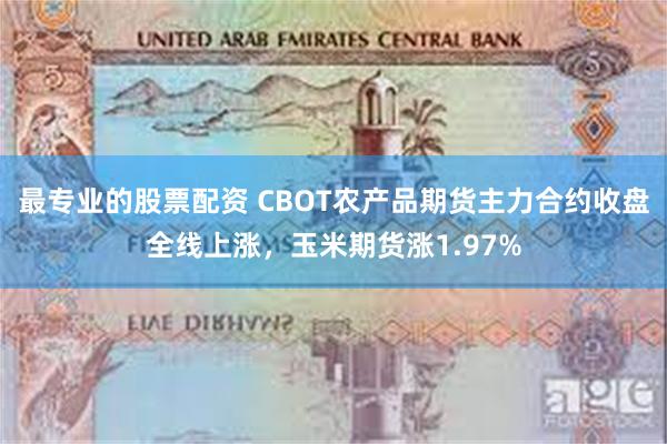 最专业的股票配资 CBOT农产品期货主力合约收盘全线上涨，玉米期货涨1.97%
