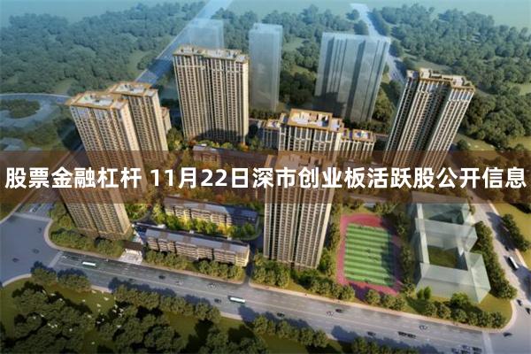 股票金融杠杆 11月22日深市创业板活跃股公开信息